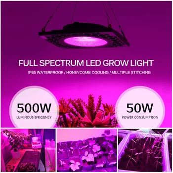 LED Grow Light Aukštas Šviesos Efektyvumas 500W ir Energijos Taupymas, Energijos Suvartojimas, 50W COB Visą Spektrą Augalų Auga Šviesos.