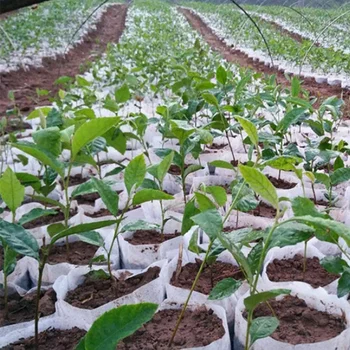500Pcs neaustinių Sėklos Starteris Maišeliai Augalams Augti, Krepšiai Biologiškai Eco-Friendly Daigumas Darželio Krepšys