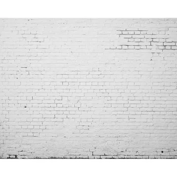 Besiūliai Vinilo Fotografijos Fone Senosios Baltų Plytų Sienos, Naujagimių Kompiuterinės Spausdintos Vaikų Backdrops fotostudija ZR-60