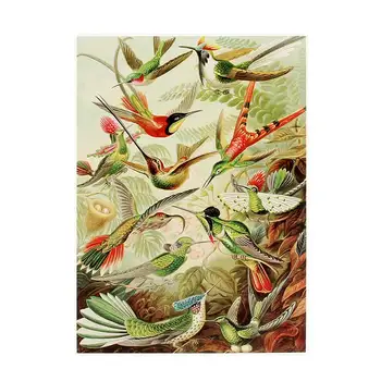 75*50 cm Pjūklelis dėlionės (galvosūkiai) 1000 vienetų Surinkimas nuotrauką hummingbird galvosūkiai, žaislai suaugusiems, vaikams, švietimo Žaislai, žaidimai vaikams