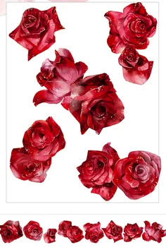 1pc 5cmx3M Specialūs Dažai Raudona Rožė Gėlių Washi Tape Scrapbooking