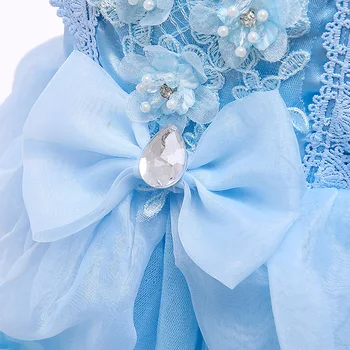 Merginos Princesė Kostiumas Cendrillon Suknelė Šalies Vaikai Kratinys Gėlių Vestuvių Suknelė Helovinas Gimtadienio Frock Cinderela Vestido