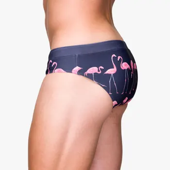 2020 Naują Maudymosi Kostiumėlį, Maudymosi Kostiumėliai Vyrų Flamingo Spausdinti Push Up Pad Maudymosi Šortai Vyrams Vasaros Paplūdimio Zwembroek Heren Gėjų Maudymosi Kostiumėliai