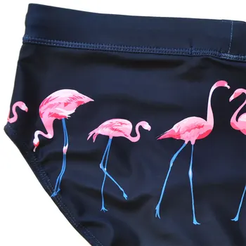 2020 Naują Maudymosi Kostiumėlį, Maudymosi Kostiumėliai Vyrų Flamingo Spausdinti Push Up Pad Maudymosi Šortai Vyrams Vasaros Paplūdimio Zwembroek Heren Gėjų Maudymosi Kostiumėliai
