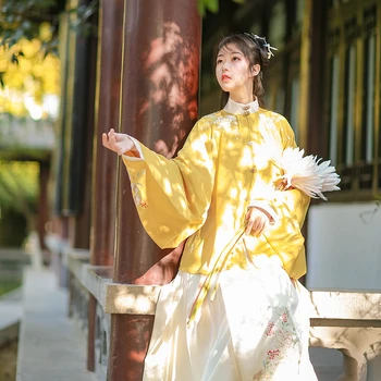 Ming Moterų Han Kinų Apranga Originali Originalus Stovėti Apykaklės Priekyje užsegamas Trumpas Marškinėliai Arklys-Veido Sijonas Kailis Sijonas Kostiumas